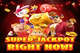 Climb tiers to unlock higher cashback rates and exclusive perks Tier progression badges: Silver, Gold, Platinum levels